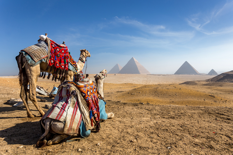 accessible-travel-agency- egypt-accessible-travel-agency ,   2021-07-12 14:21:21